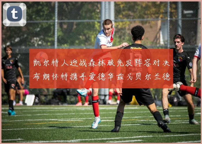 凯尔特人迎战森林狼先发阵容对决布朗怀特携手爱德华兹戈贝尔兰德尔争锋